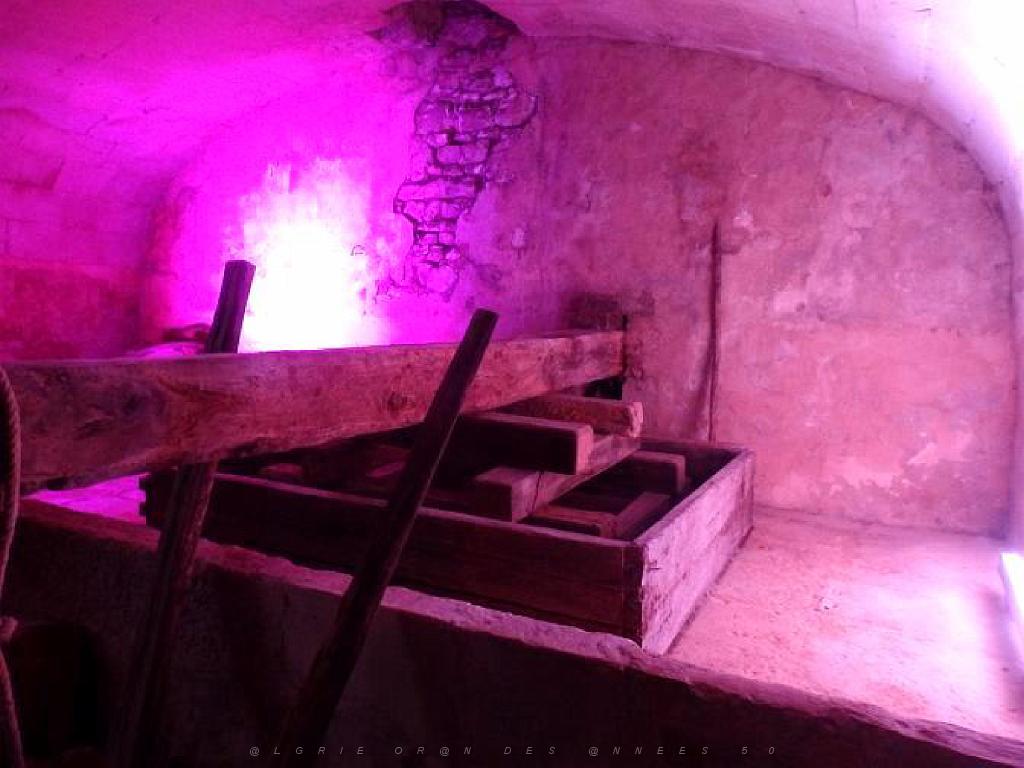 149 CHATEAU DE MONTREUIL BELLAY MAINE ET LOIRE 2016_000055.jpg